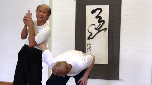 Sifu demonstriert einen Armhebel Taipeh 2012