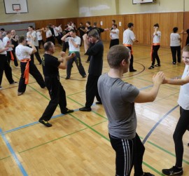 Kampfkunst Jena Selbstverteidigung Wing Chun long bridge Ip Man Kung Fu