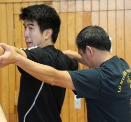 Kampfkunst Jena Selbstverteidigung Wing Chun long bridge Ip Man Kung Fu Gorden Lu